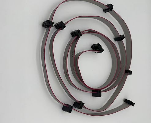Cable à ruban de 6 à 24 broches 2,54 mm UL2651 Connecteurs de câble à ruban IDC blanc